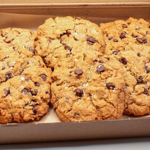 XL Classic Chocalate Chip Cookie