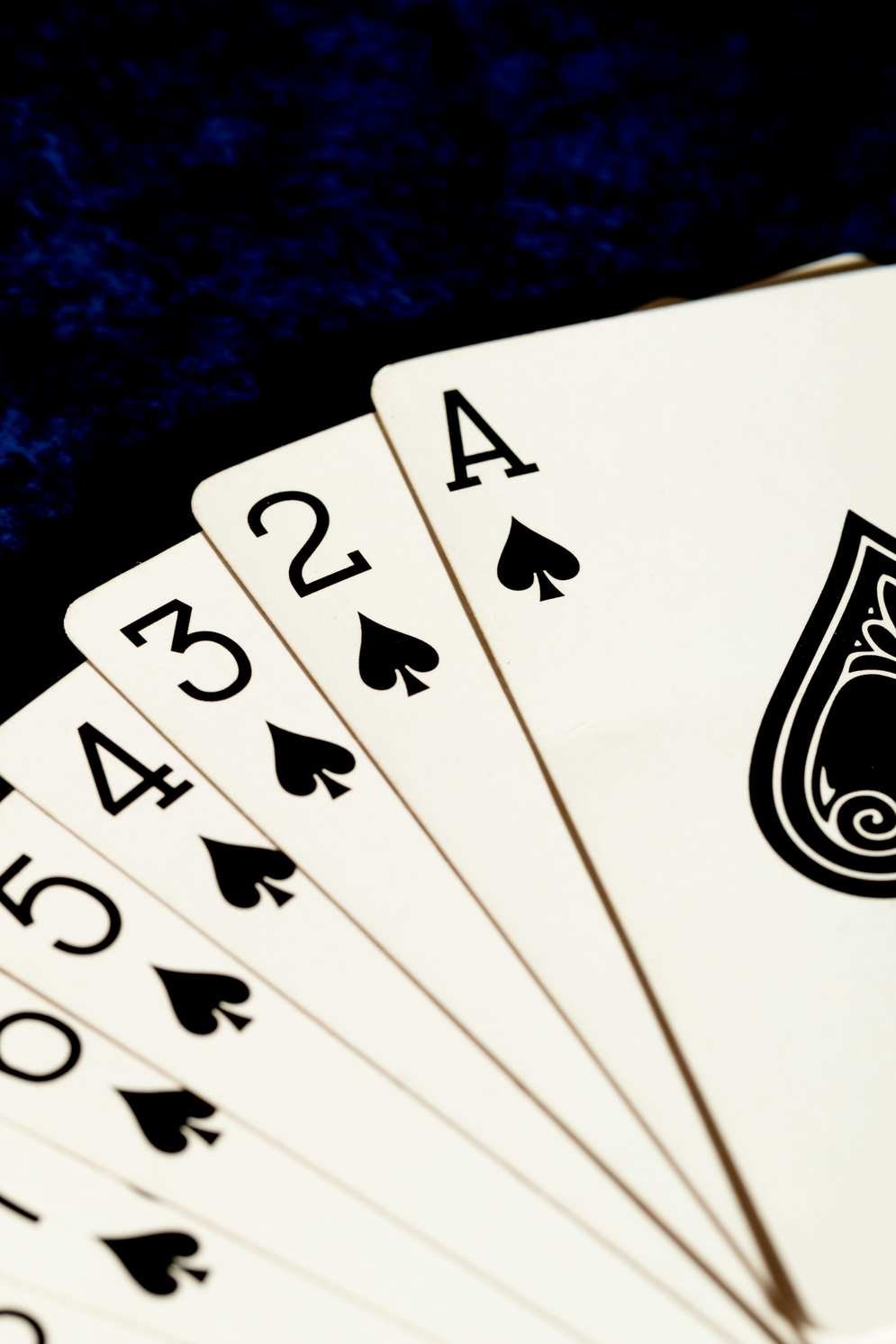 gofishcasino-de.com gofishcasino-de.com
